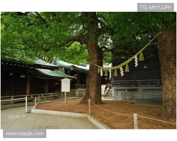 濮嗗反浣╁洜鐥呮瘨鎰熸煋缂哄腑鐨囬┈涓栦勘鏉鎴橈紝閾舵渤鎴樿埌闃靛鎶樻崯杩庝弗宄昏€冮獙